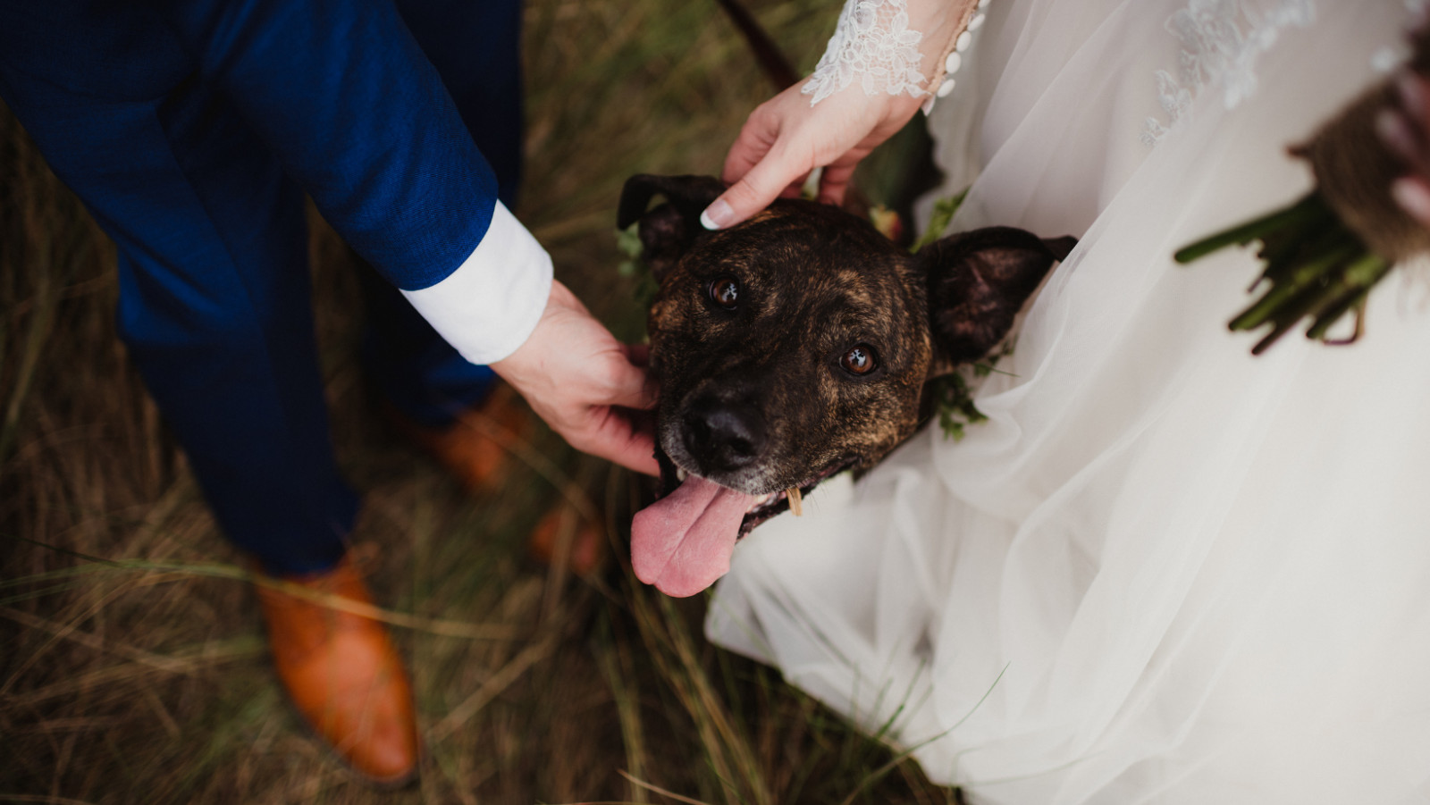 Bringing Your Pooch To Your Wedding - Blog - CaptureOurWedding.com